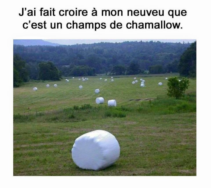 humour - Page 28 13254310