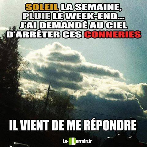 humour - Page 39 13260013