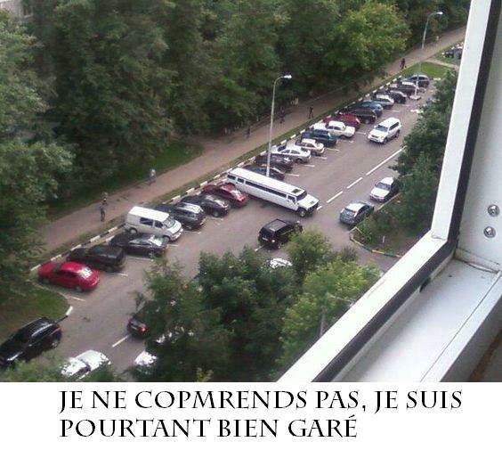 humour - Page 32 13260111