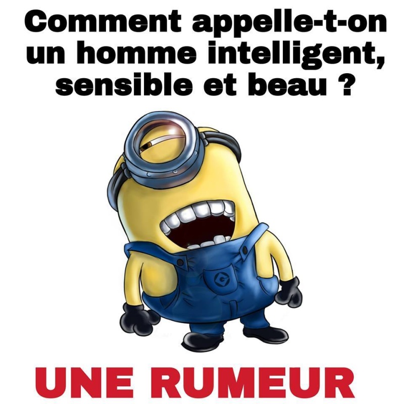 humour - Page 32 13266110