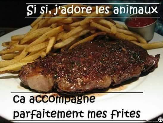 humour - Page 32 13269212