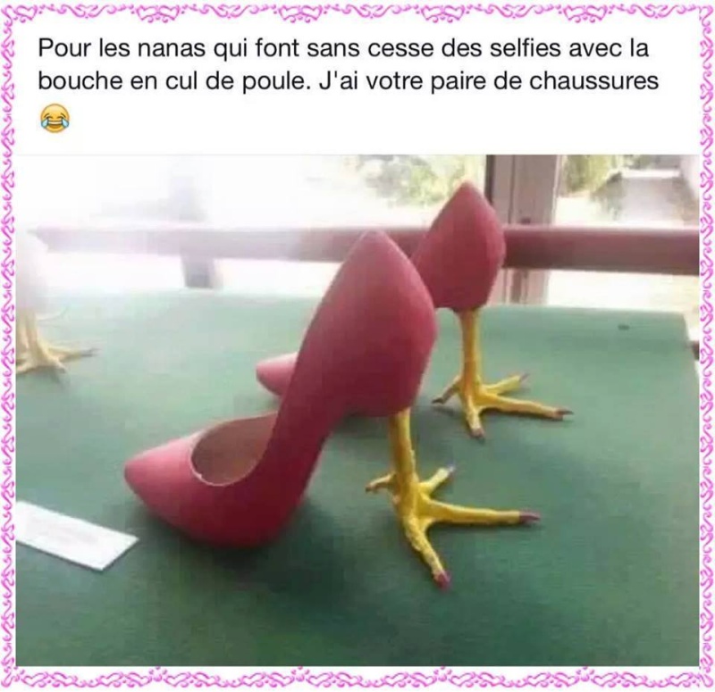 humour - Page 2 13312612