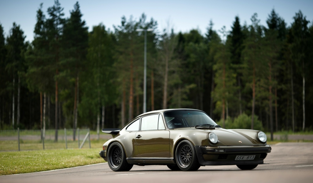 tuning Porsche - Page 29 Larry_28