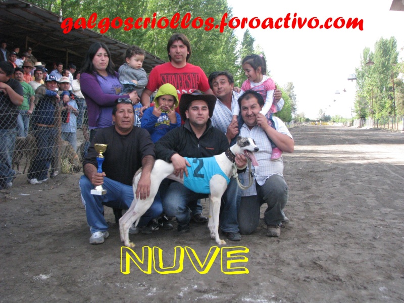 Super Clasicos Canodromo Internacional Requinoa 08-Noviembre-09 - Página 3 Nuve10