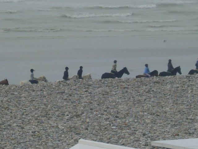des chevaux sur la plage!!! S8003824