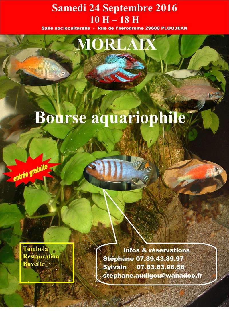 bourse - 3e BOURSE AQUARIOPHILE MORLAISIENNE Affich10