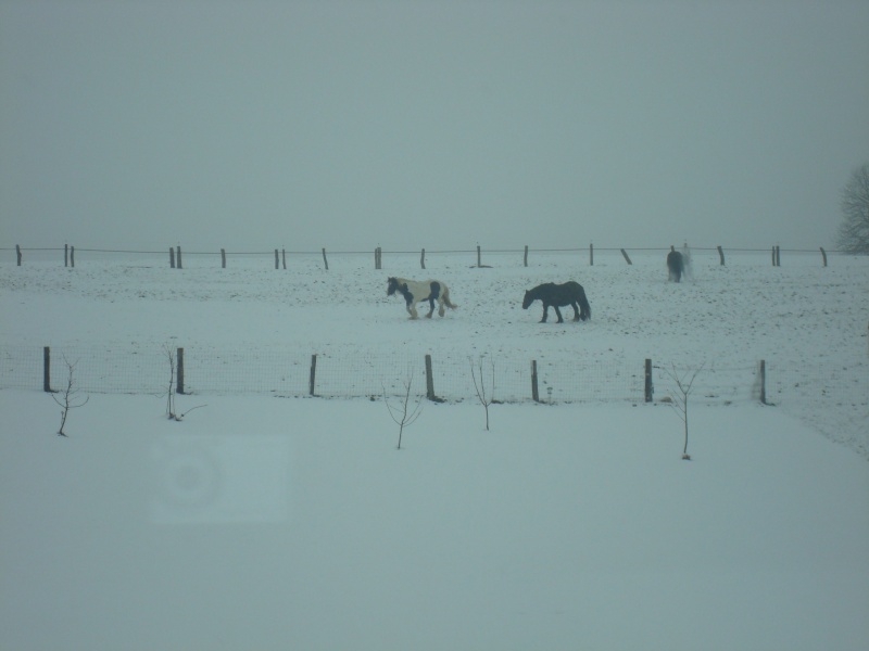 La vue en ardennes le 25 mars 25_mar10