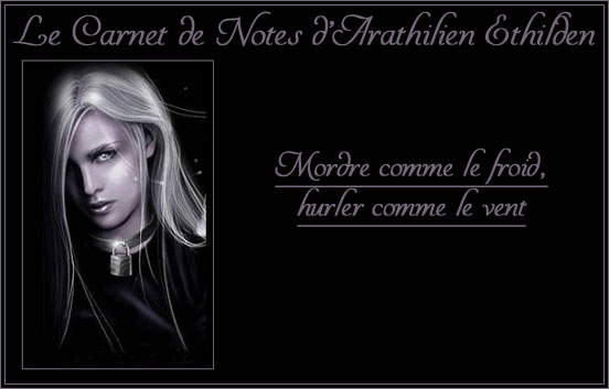 Le carnet de notes d'Arathilien Ethilden Carnet11