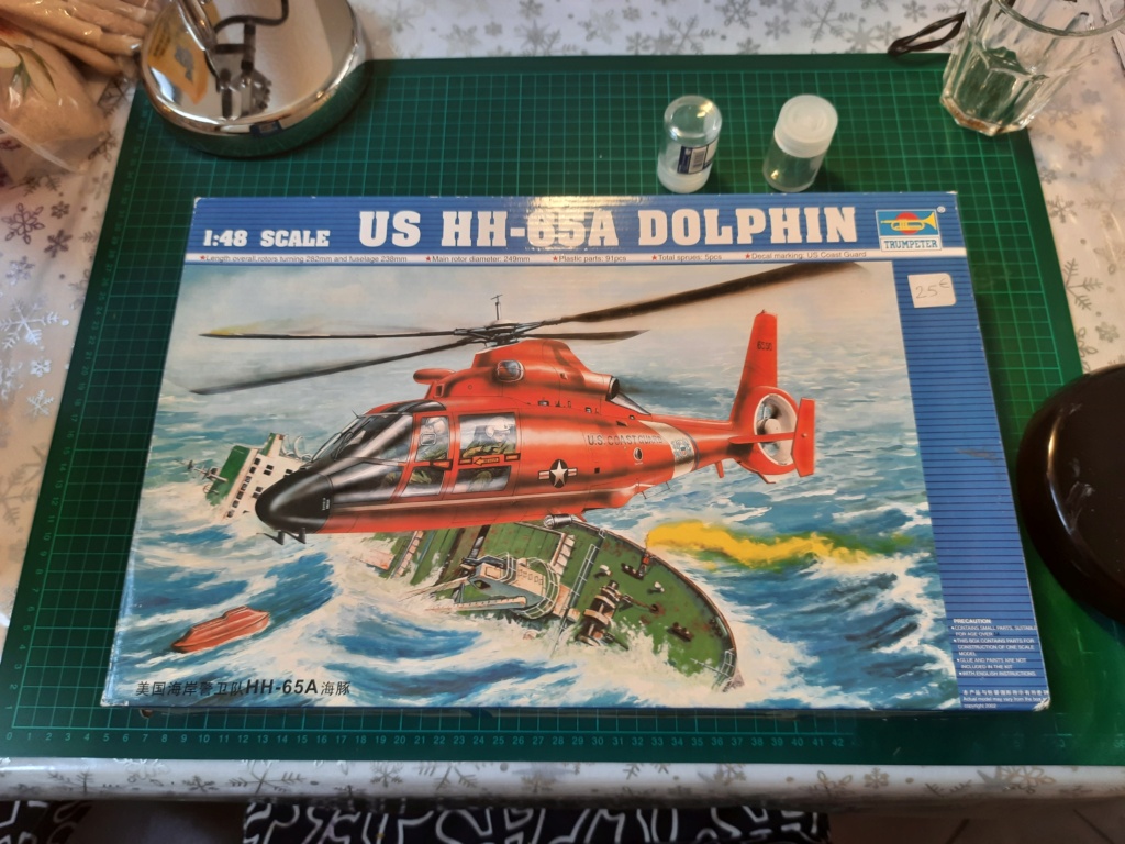 HH-65A Dolphin Coast Guards (1/48) 20210567