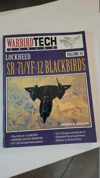 [GB Vietnam] SR-71 BLACKBIRD Testors 1/48  - Page 3 20210722