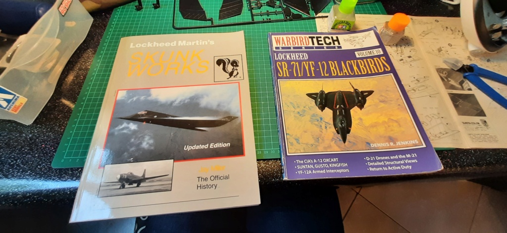 (GB JICEHEM) [Tamiya (Italeri)] Lockheed SR-71 Blackbird -1/48 20221020