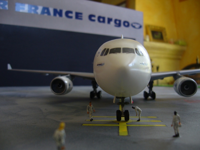 AIRBUS A330-203 AIR FRANCE/REVELL-F-DECALS-BRASIL DECALS 1/144 P1020643