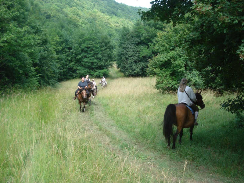 Balade amicale dans le Bas Bugey Dsc00013