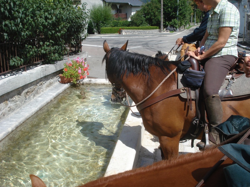 Une semaine dans le Bugey Dsc00410