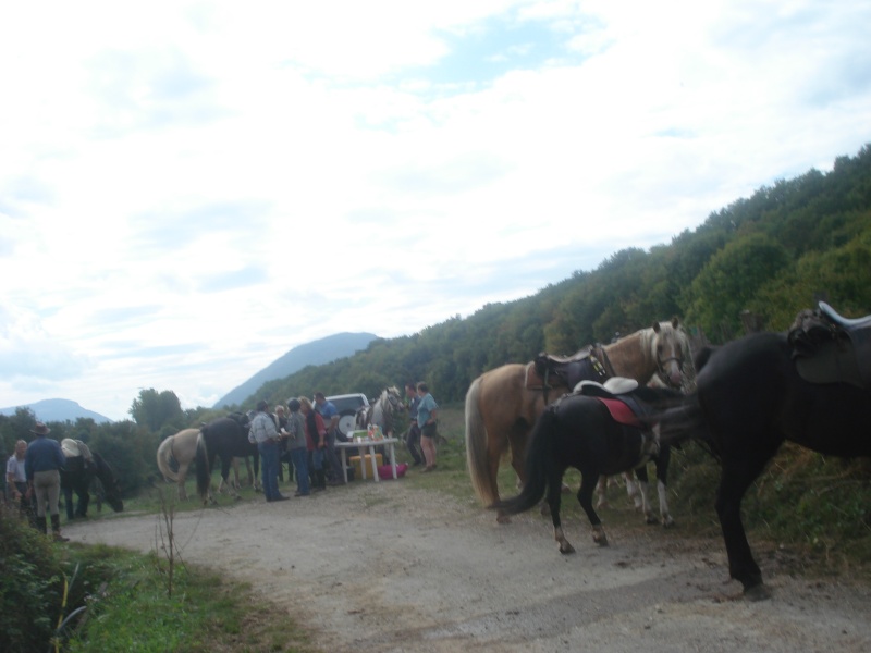 Fête du Cheval à Peyrieu (01) Dsc01018