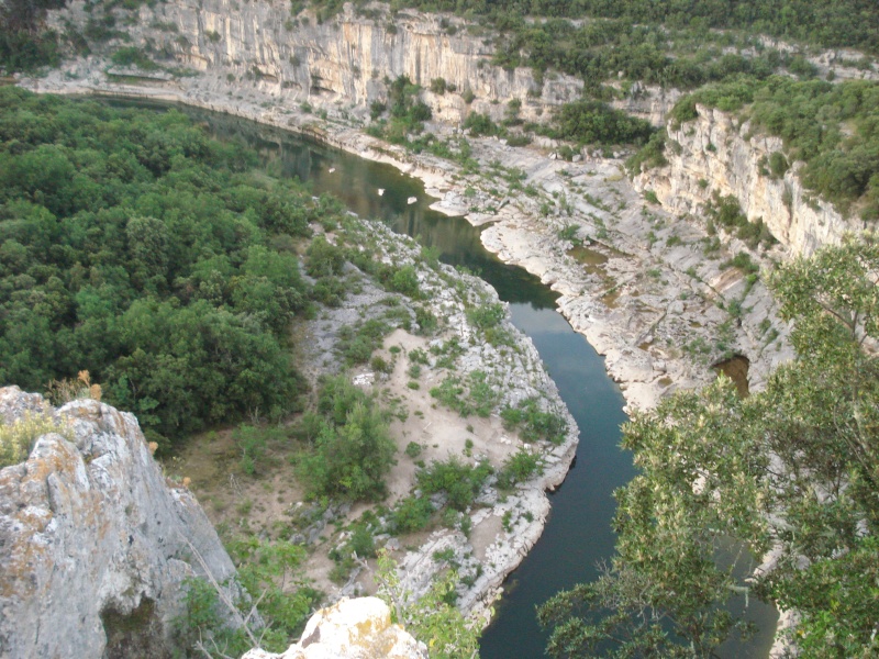 Gorges de l'Ardèche - Page 2 Dsc09815