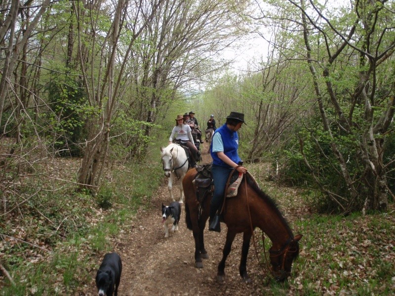 Visite des Isérois dans le Bas Bugey P4120219