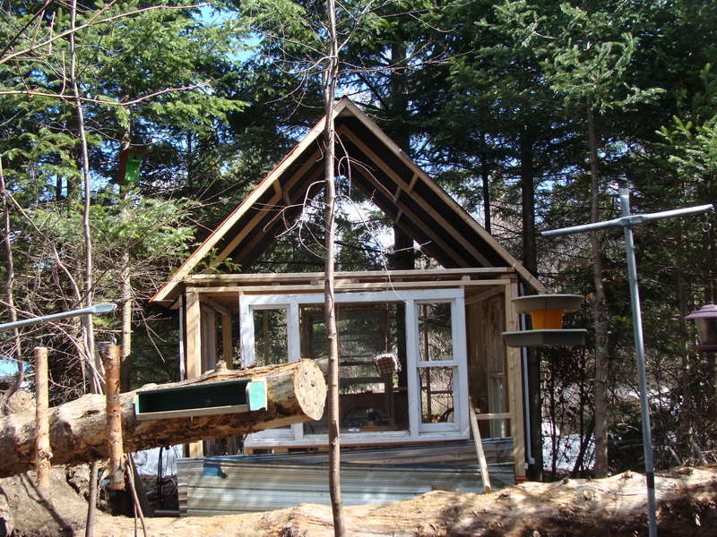 Nouvelle cabane en construction Dsc02421