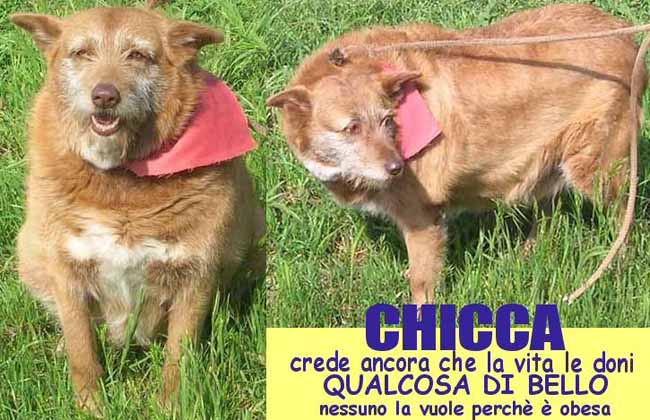 CHICCA CI CREDE ANCORA Chicca10