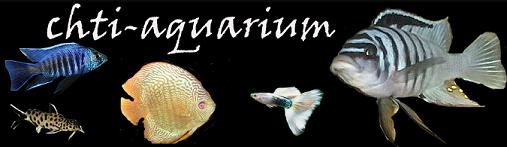Chti-Aquarium