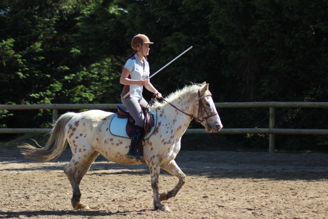 le PONY GAMES : mes filles et leurs poneys ! Img_6617