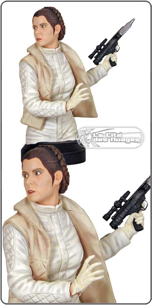 Princess Leia in Hoth Fatigues Buste PRECO 4005_110