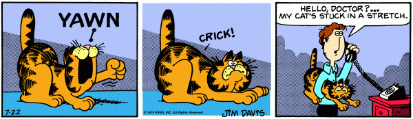 Garfield Comics - Seite 2 2210