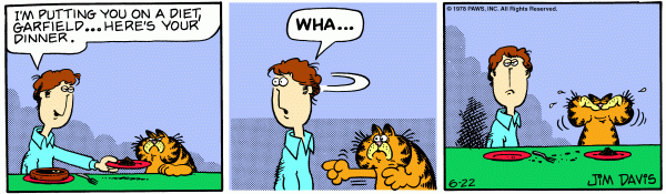 Garfield Comics P213