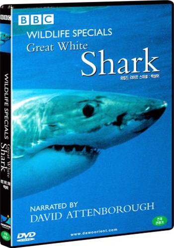 Great.White.Shark - القرش الابيض العظيم 4110010