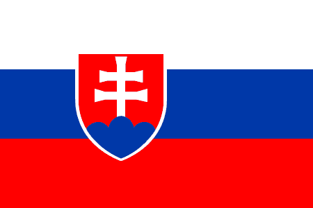 سجل المتأهلين رسميا لكأس العالم 2010 Slovak10