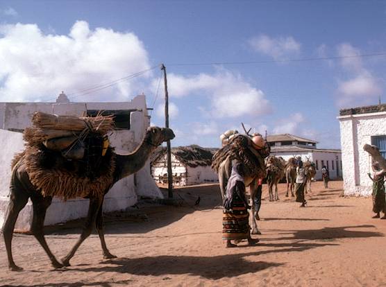 بالصور من معالم العواصم العربية Somali11