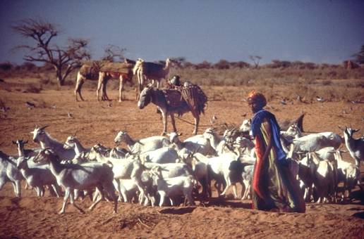 بالصور من معالم العواصم العربية Somali13