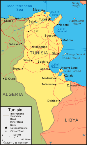 عواصم أعلام وخرائط دول العالم - صفحة 4 Tunisi10