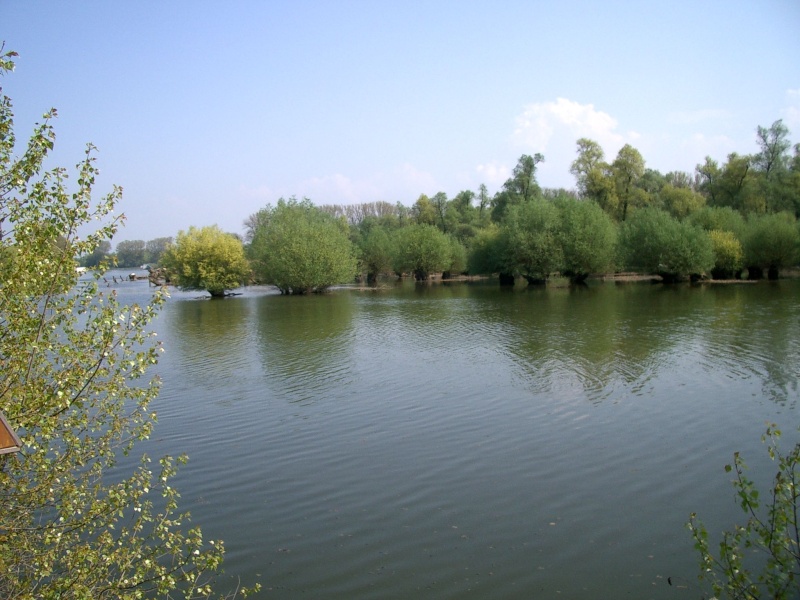 Delta de la Sauer et le Rhin Imgp6916