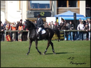 >> CSI International *** d'Hardelot << P1000521