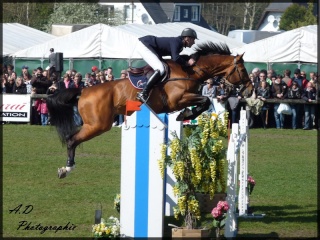 >> CSI International *** d'Hardelot << P1000523