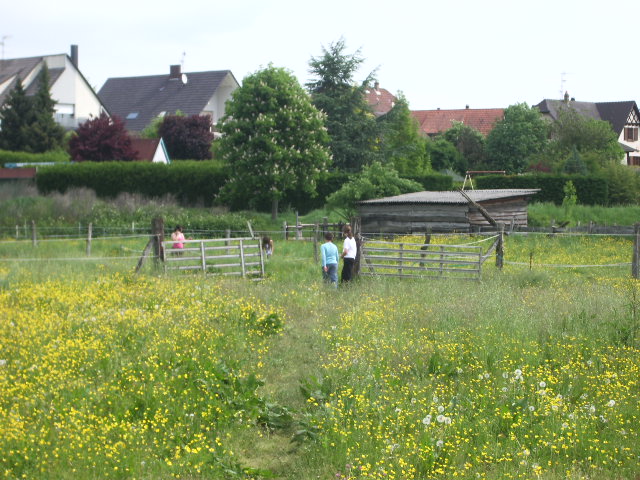 JOURNEE BRICOLAGE AU GRAND PARC Imgp6216