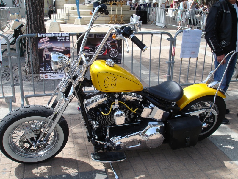 23 et 24 Mai : harley custom Carnon bike 2009 (34) Carnon14