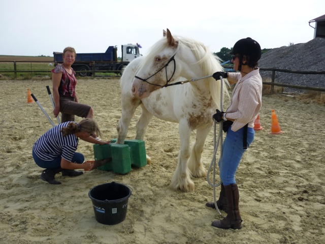 quels sont les inconvéniants/défauts de l'irish cob ? - Page 2 P1030626