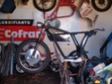 TESTI BITZA Testi_12