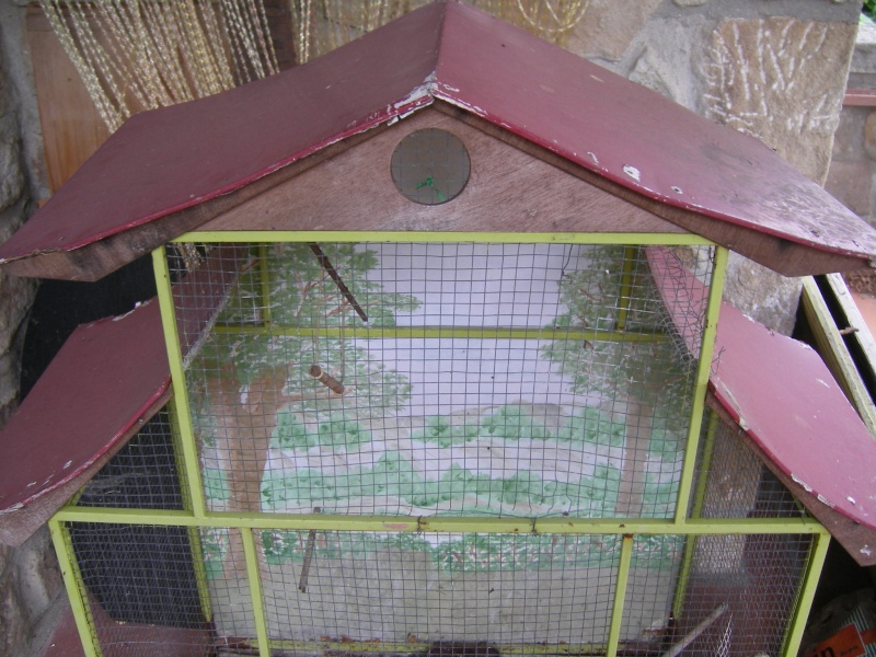 Une cage maison ^^ Imgp1212