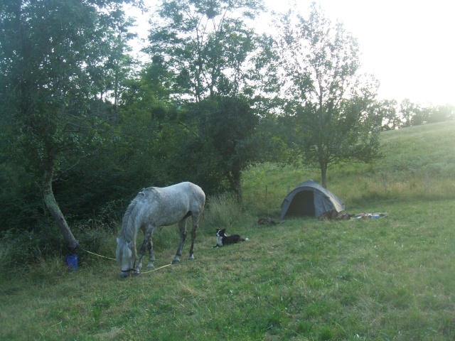 Cavalière cathare :) Dscf5119