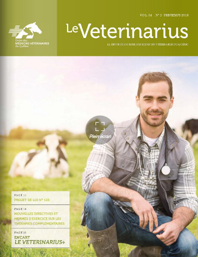 L'arthrose canine Veteri10