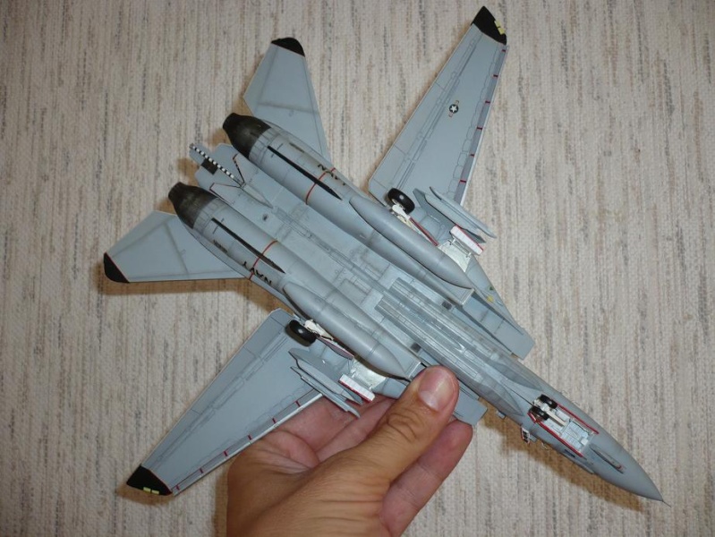 F-14A VF-154 HASEGAWA 1/72 513