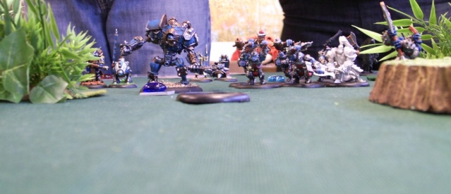 Warmachine / Hordes - Page 8 Pic_0529