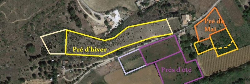 JdB de 4 hectares de pâtures dans le SUD : après la pénurie, gestion de la surabondance !!! Planmi10