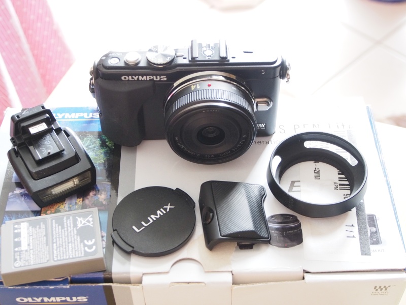 Olympus E-PL5 avec Panasonic 14mm P5280225