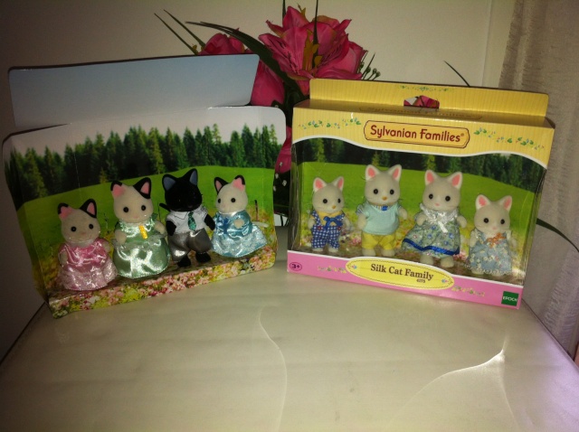 Les Sylvanians de Vanessa Img_0218