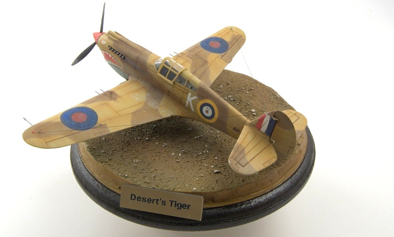 Curtiss P-40 Airfix et Trumpeter - 1/72 - special project 5310