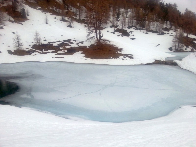 Lac bleu sous glace, qui est motivé pour l'année prochaine? Small_12